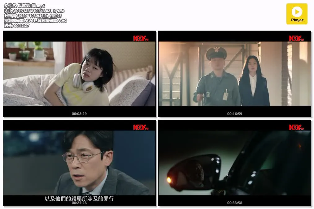 【臥底】(2021) 池珍熙×金賢珠 懸疑動作韓劇 全28集高清粵語資源 4