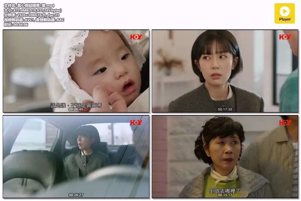 【真心假結婚】(2023) 安宰賢×白珍熙 浪漫家庭韓劇 全66集高清粵語資源 4