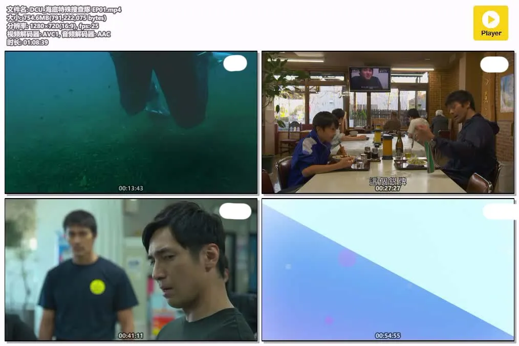 【海底特殊搜查隊 / DCU】(2022) 阿部寬×橫濱流星 潛水刑偵日劇 全集高清粵語資源 4