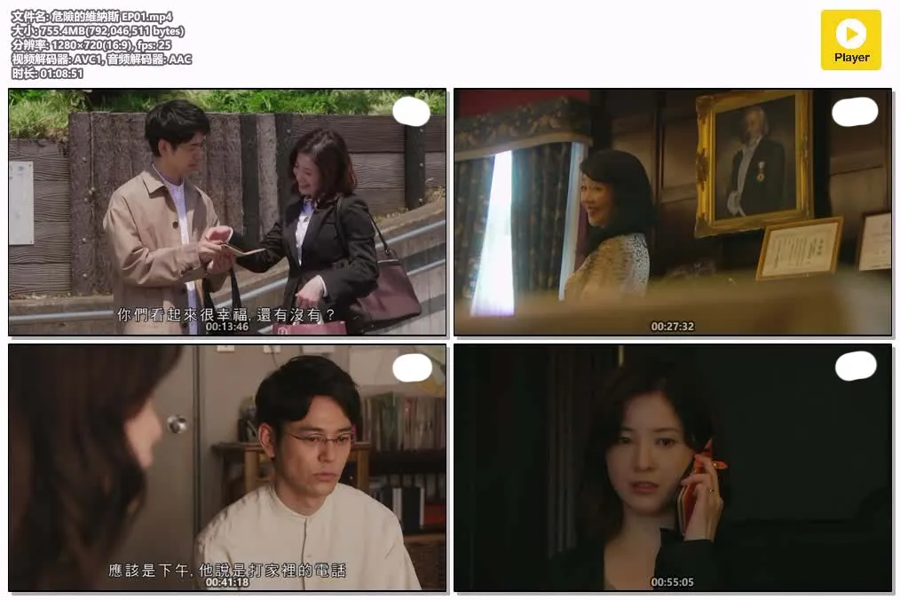 【危險的維納斯】(2020) 妻夫木聰×吉高由里子 東野圭吾改編 全集高清粵語資源 4