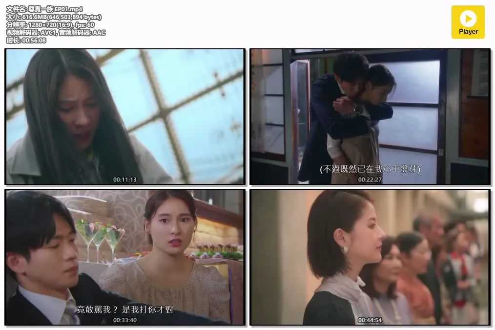 【尊貴一族】(2022) 土屋太鳳×松下洸平 豪門家庭日劇 全集高清粵語資源 4