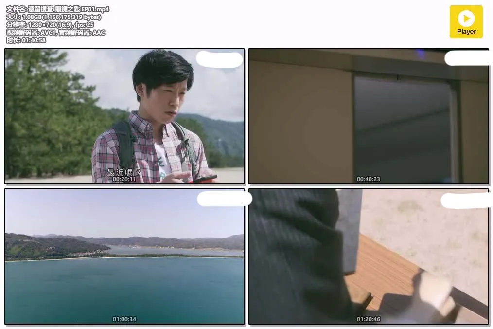 【遺留搜查：關鍵之匙】(2019) 上川隆也主演 SP日劇 高清粵語資源 4