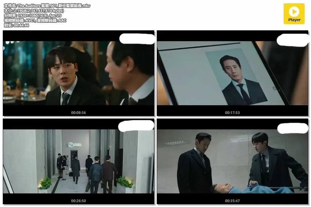 【監察 / The Auditors】(2024) 申河均主演 職場懸疑韓劇 全集高清粵語資源 4