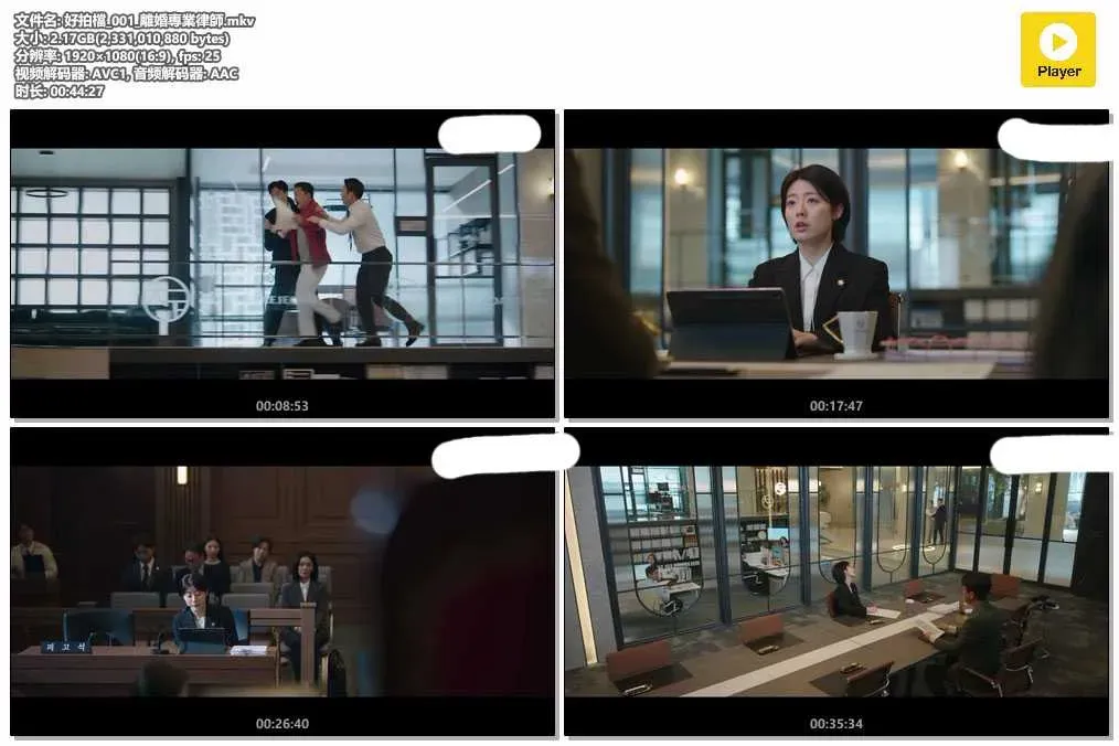 【好拍檔】(2024) 張娜拉×南志鉉 律政韓劇 全集高清粵語資源 4