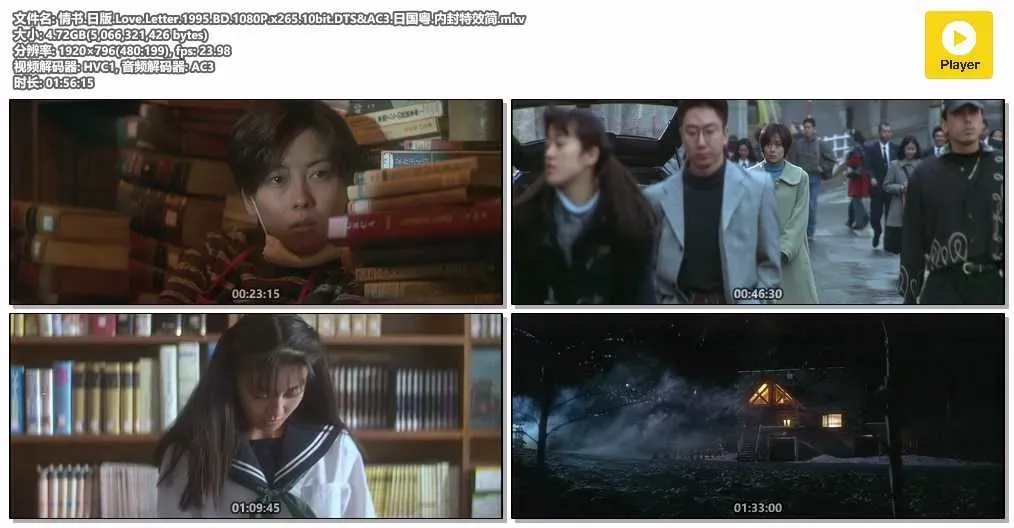 【情書】(1995) 岩井俊二執導 經典純愛電影 粵國日三語資源 4