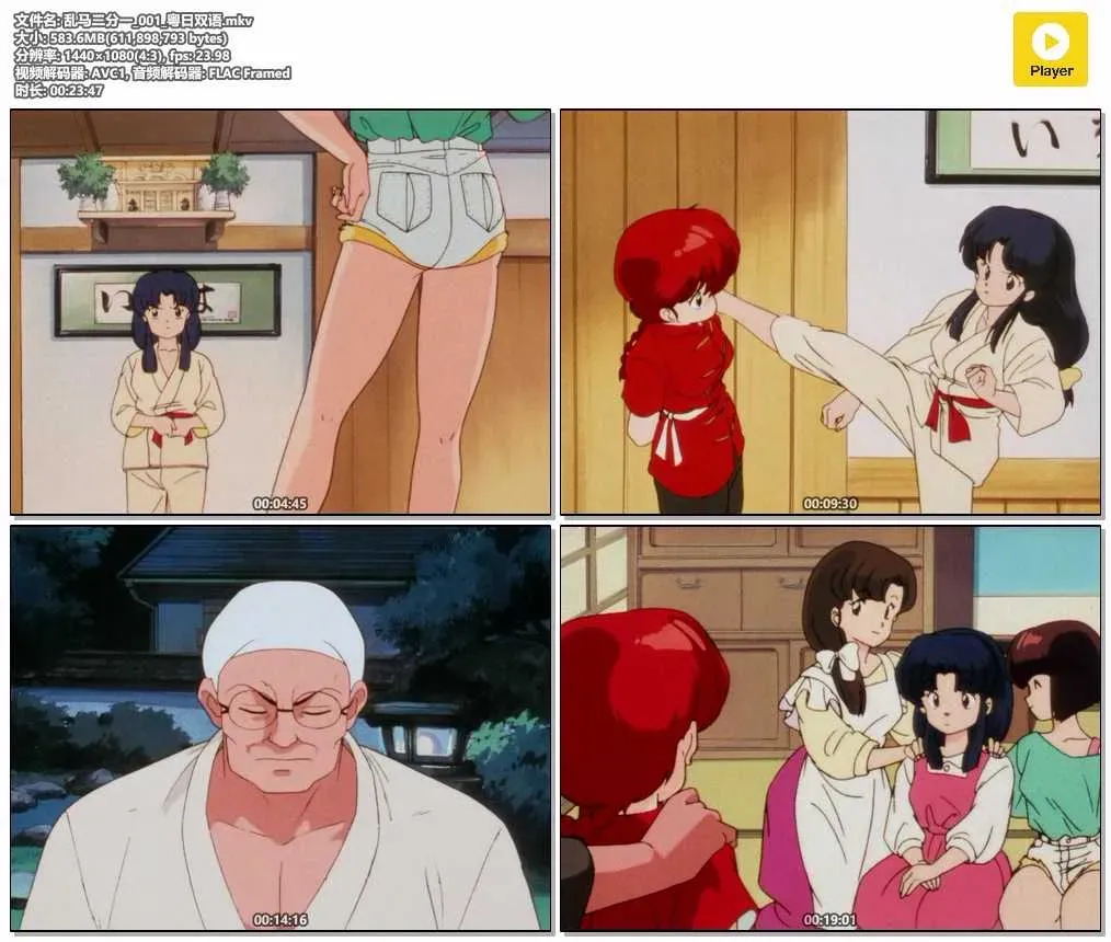 【亂馬1/2】(1989) 高橋留美子經典神作 全161集高清粵語資源 4