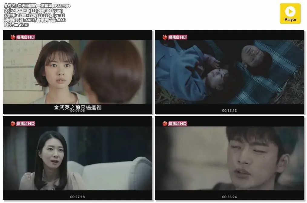 【從天而降的一億顆星】(2018) 徐仁國×庭沼珉 懸疑愛情韓劇 全集粵語資源 4