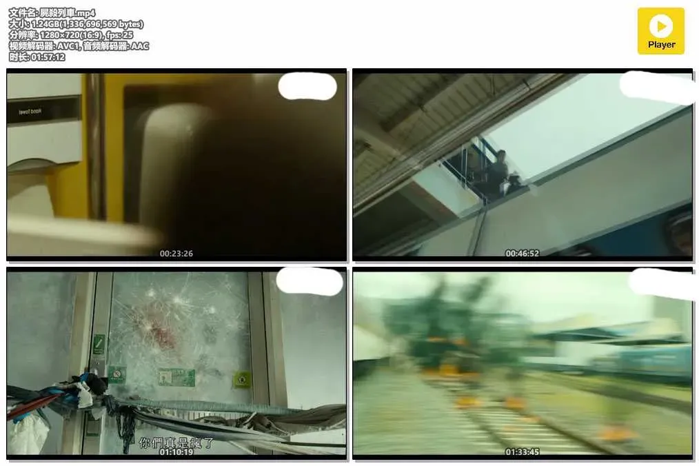 【屍殺列車 / 釜山行】(2016) 孔劉×馬東石 喪屍災難神作 電影粵語資源 4