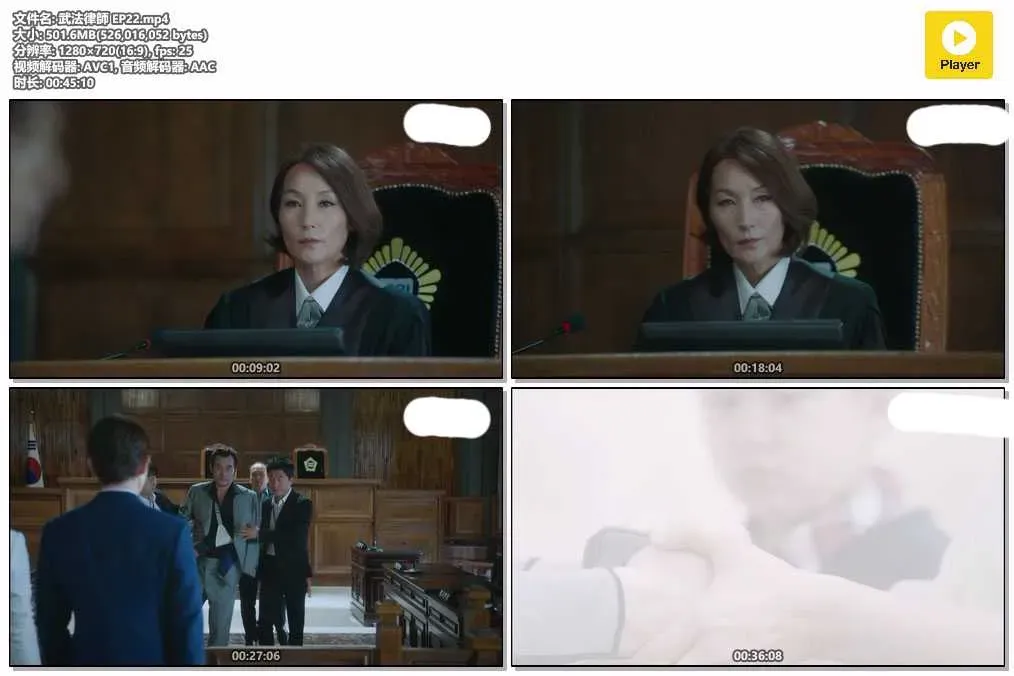 【武法律師】(2018) 李準基×徐睿知 動作律政韓劇 全集粵語資源 4