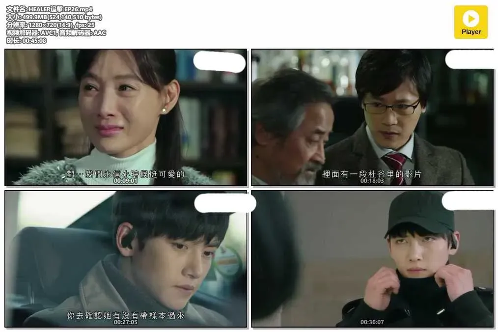 【HEALER追擊 / 治癒者】(2014) 池昌旭×朴敏英 懸疑動作愛情劇 全集粵語資源 4