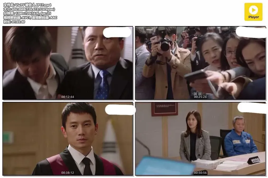 【被告人】(2017) 池晟×嚴基俊 懸疑犯罪神劇 全集粵語資源 4