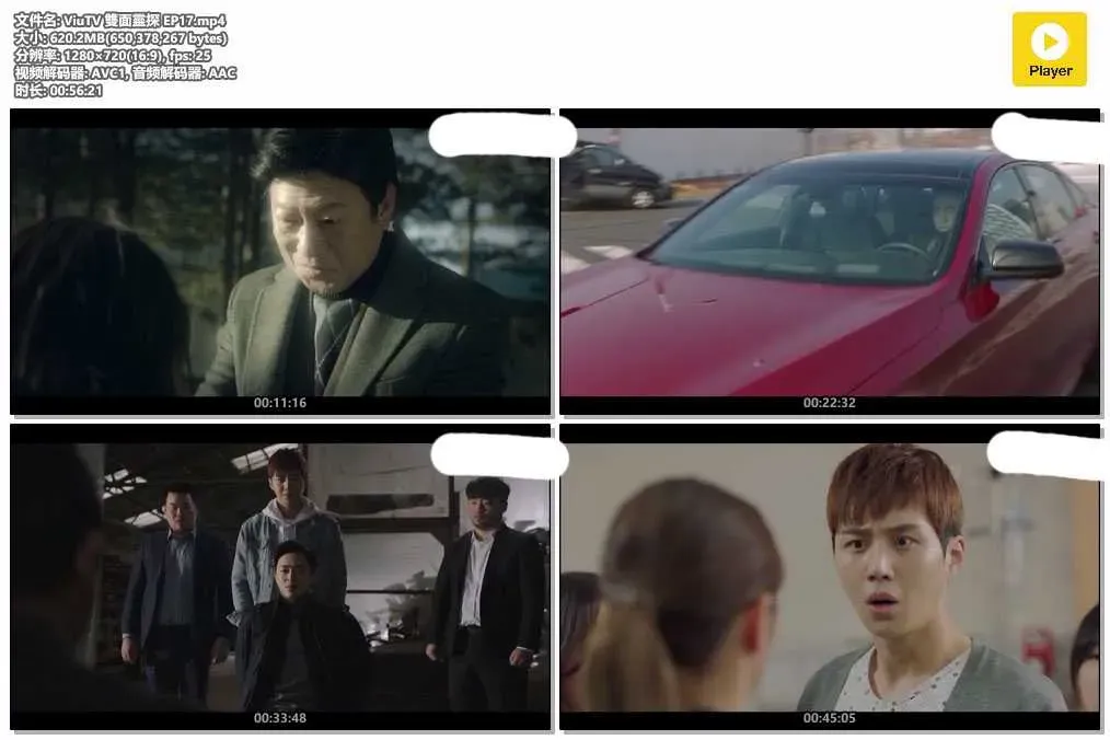 【雙面靈探 / 我的鬼神搭檔】(2017) 曹政奭×金宣虎 奇幻刑偵喜劇 全集粵語資源 4