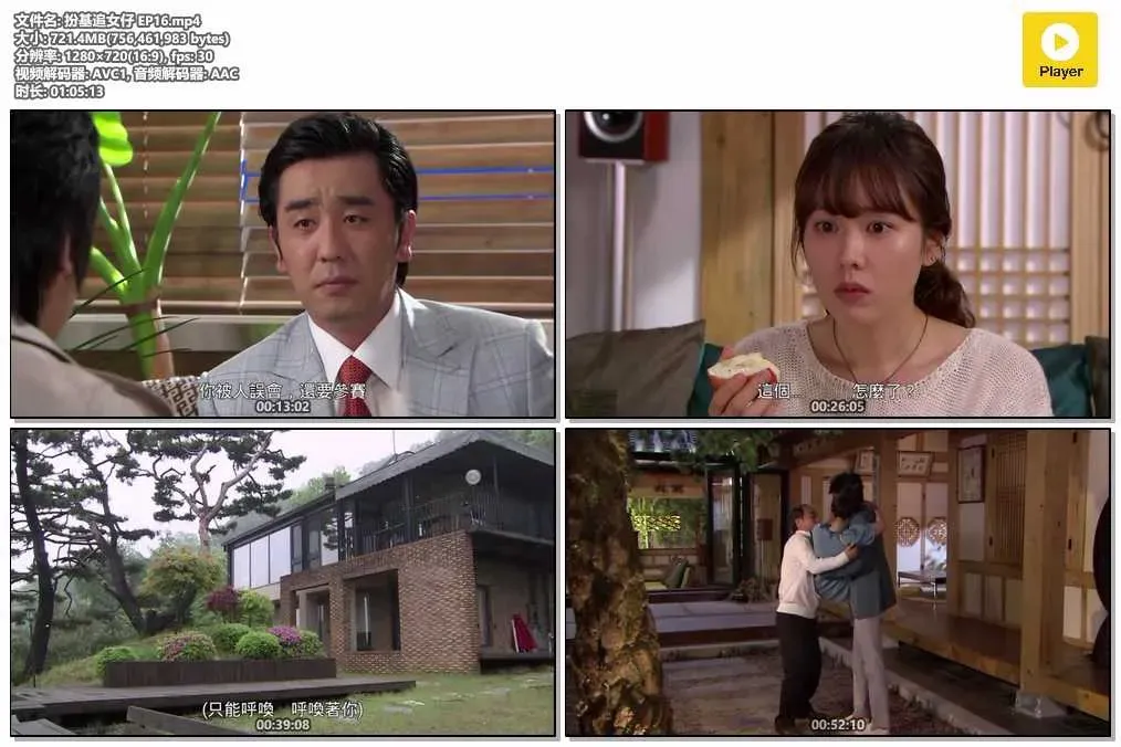 【扮基追女仔 / 個人取向】(2010) 李敏鎬×孫藝珍 經典爆笑同居韓劇 全集粵語資源 4