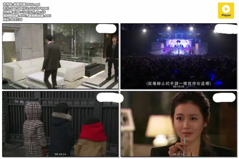 【秘密花園】(2010) 玄彬×河智苑 靈魂互換經典神劇 全集粵語資源 4