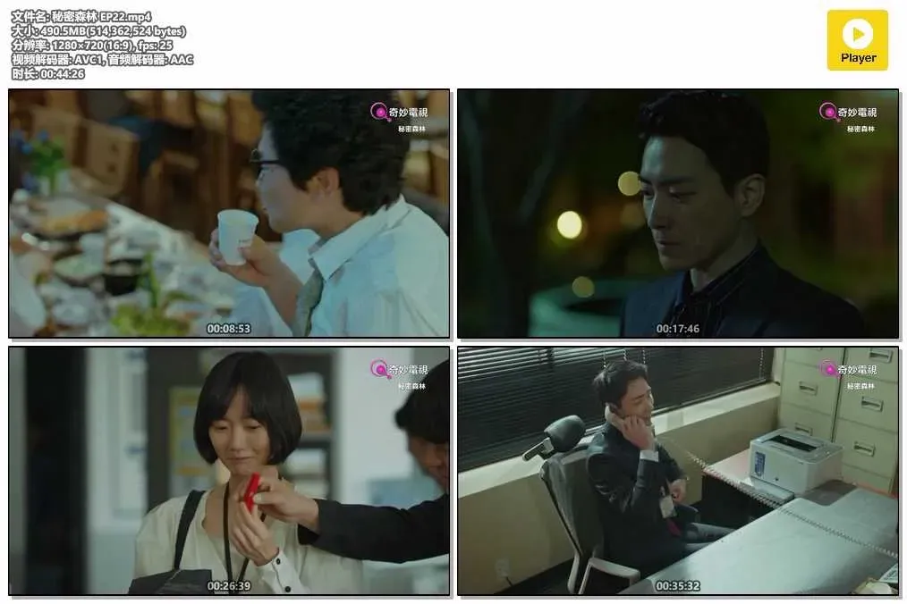 【秘密森林】(2017) 曹承佑×裴斗娜 高分懸疑神劇 全集粵語資源 4