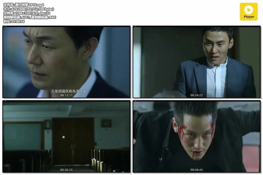 【潛行特警 / 隱藏身份】(2015) 金汎×朴誠雄 臥底動作韓劇 全集粵語資源 4