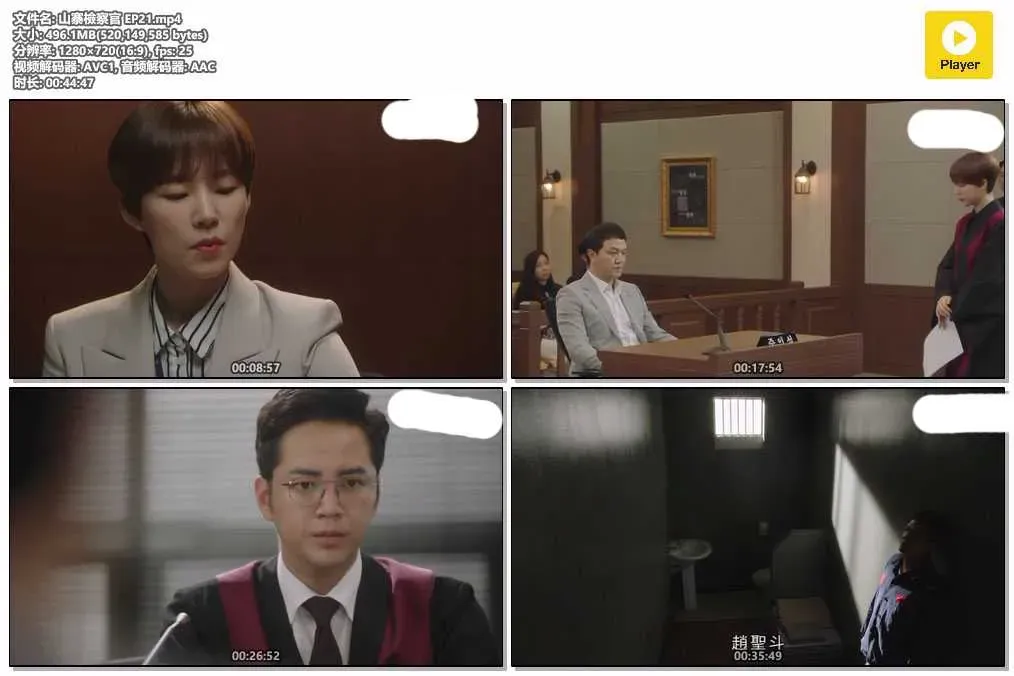 【山寨檢察官 / Switch-改變世界】(2018) 張根碩×韓藝璃 騙子變身檢察官 全集粵語資源 4