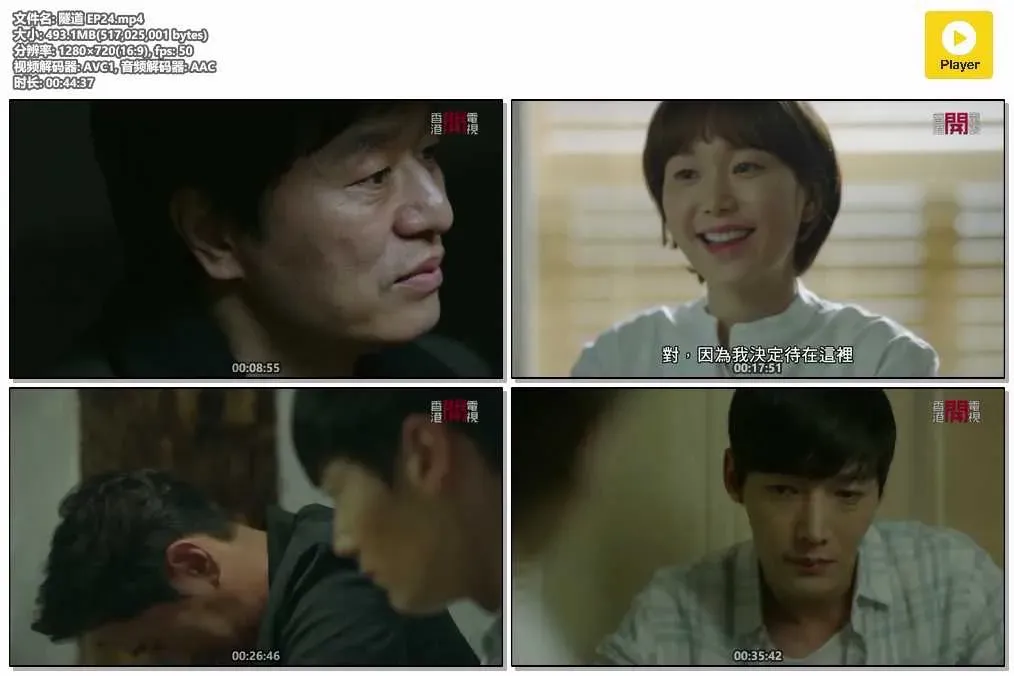 【隧道】(2017) 崔振赫×尹賢旻 穿越懸疑神劇 全集粵語資源 4