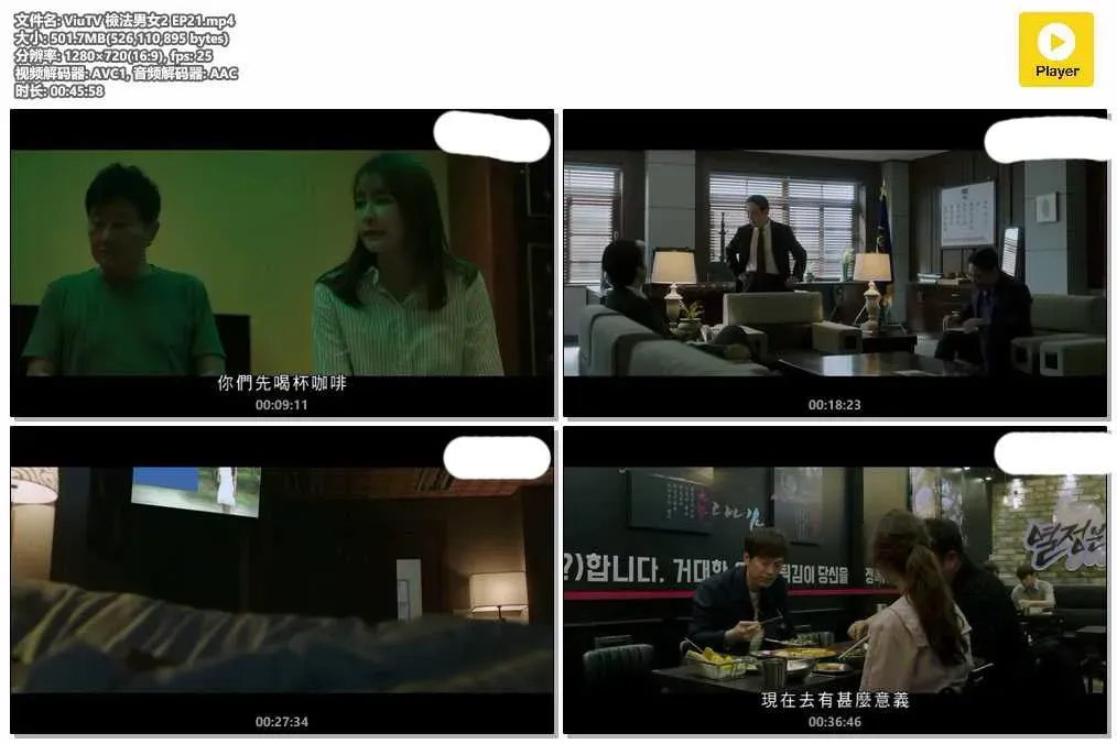 【檢法男女2】(2019) 鄭在詠×鄭柔美×魯敏宇 硬核法醫懸疑劇 全集粵語資源 4