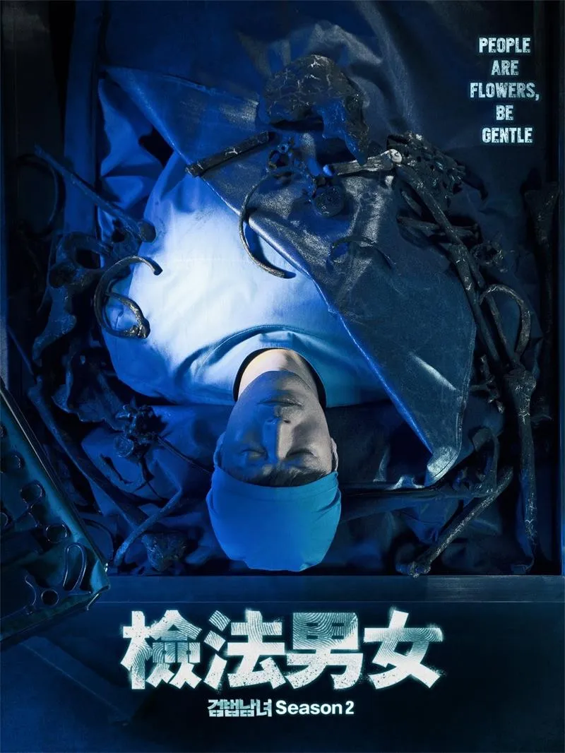 【檢法男女2】(2019) 鄭在詠×鄭柔美×魯敏宇 硬核法醫懸疑劇 全集粵語資源