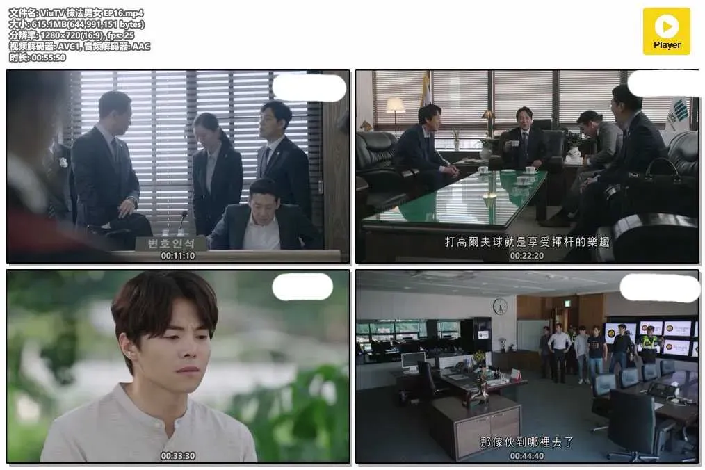 【檢法男女 / 檢法男女S1】(2018) 鄭在詠×鄭柔美 經典法醫懸疑劇 全集粵語資源 4