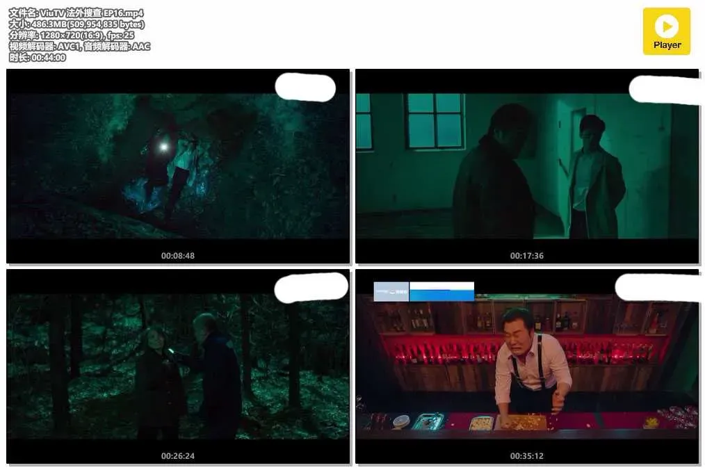 【法外搜查 / 番外搜查】(2020) 車太鉉×李善彬 爆笑犯罪動作劇 全集粵語資源 4