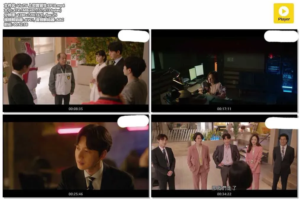 【上司實習生 / 老頑固實習生】(2020) 朴海鎮×金應洙 爆笑職場復仇劇 全集粵語資源 4