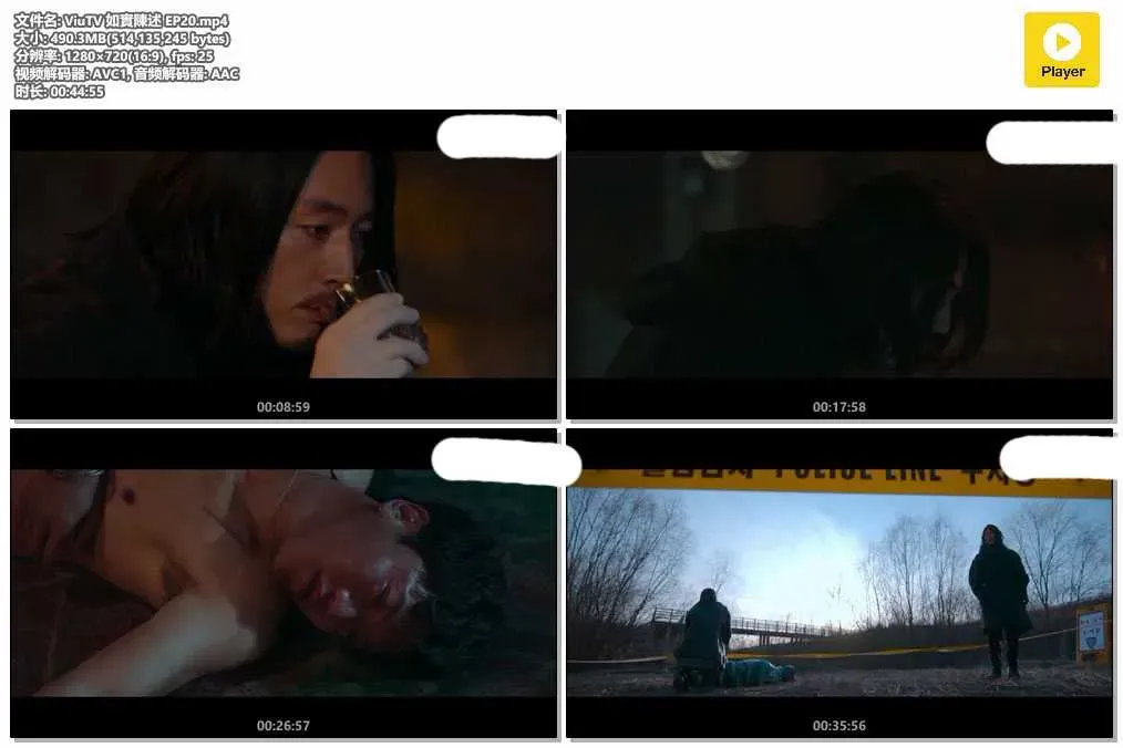 【如實陳述】(2020) 張赫×崔秀英×陳瑞妍 OCN懸疑驚悚劇 全集粵語資源 4