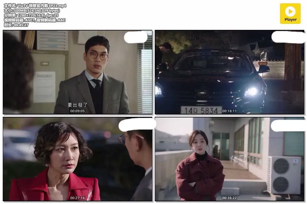 【檢察官內傳】(2019) 李善均×鄭麗媛 寫實職場喜劇 全集粵語資源 4