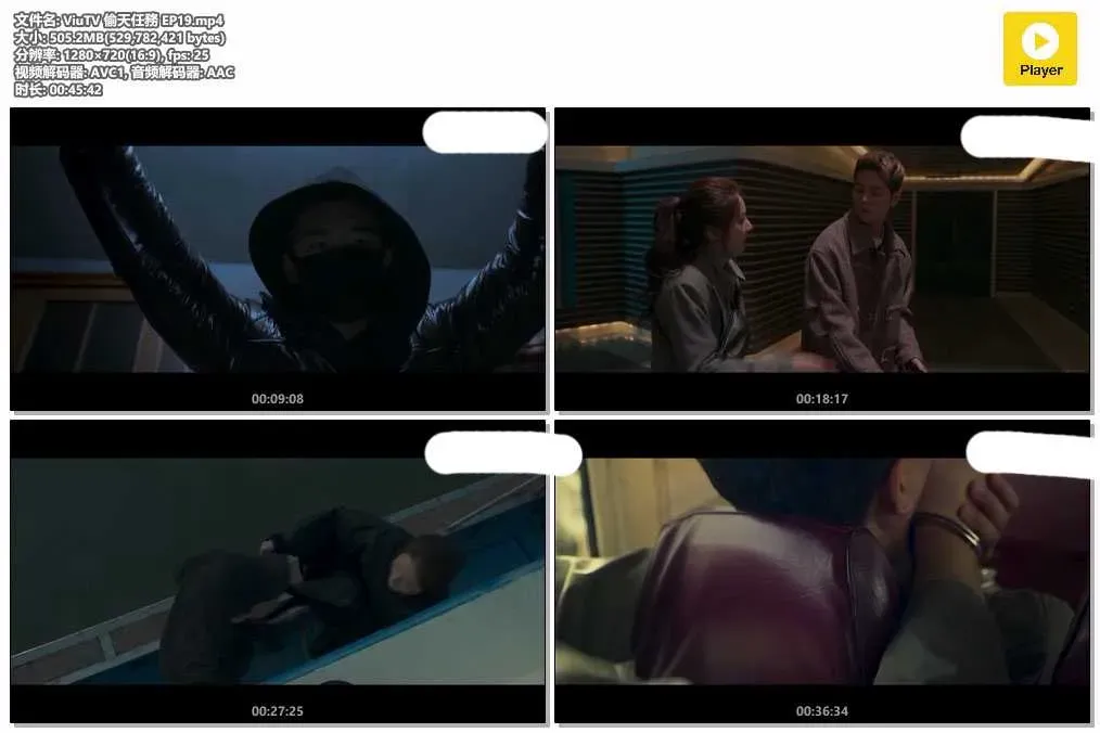 【偷天任務 / 槓桿】(2019) 李東健×全慧彬×金賽綸 犯罪動作喜劇 全集粵語資源 4