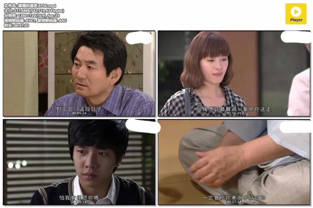 【燦爛的遺產】(2009) 韓孝周×李昇基 國民級勵志愛情劇 全集粵語資源 4