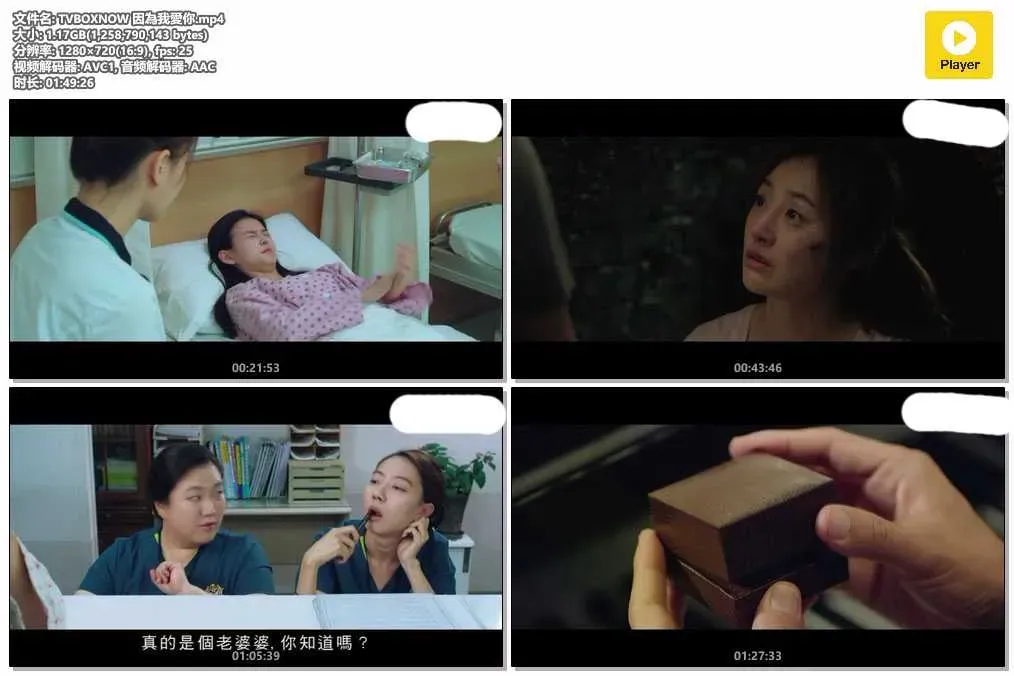 【因為我愛你】(2017) 車太鉉×金裕貞 奇幻附身治癒喜劇 粵語資源 4