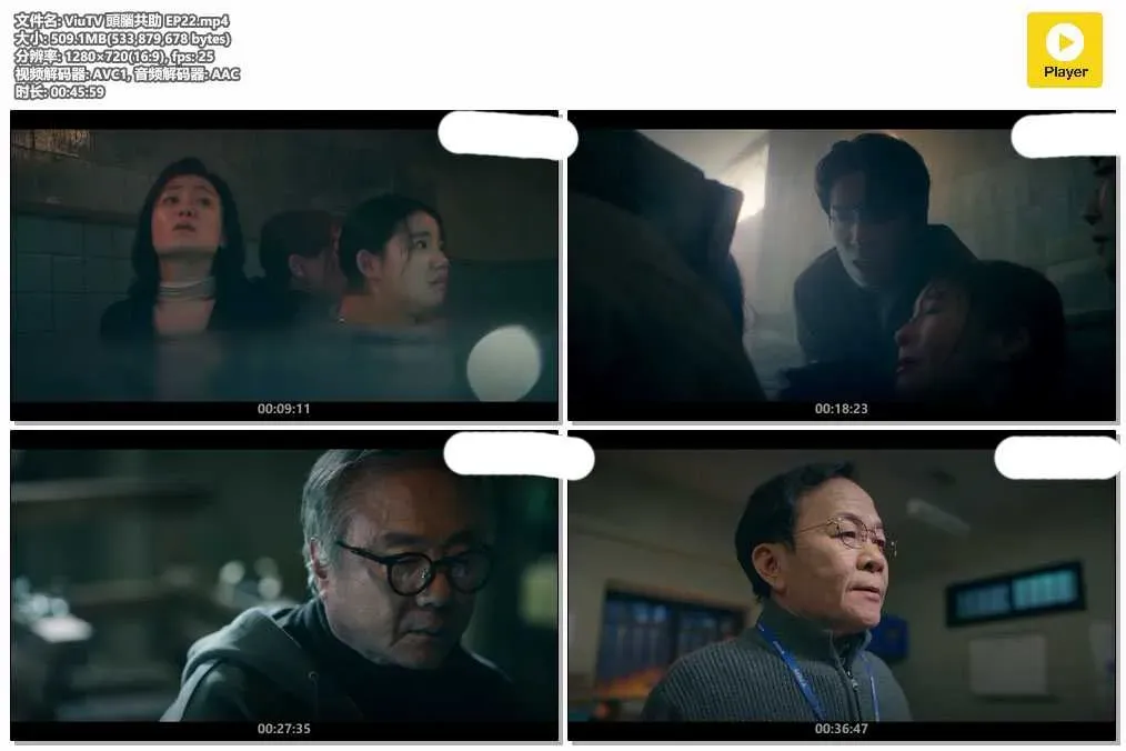 【頭腦共助 / Brain Works】(2023) 鄭容和×車太鉉 腦科學刑偵喜劇 全集粵語資源 4