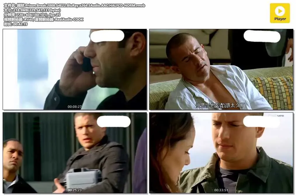 【越獄 第四季 / Prison Break S4】(2008) 粵語配音 標清 奪取Scylla 團隊反擊 4