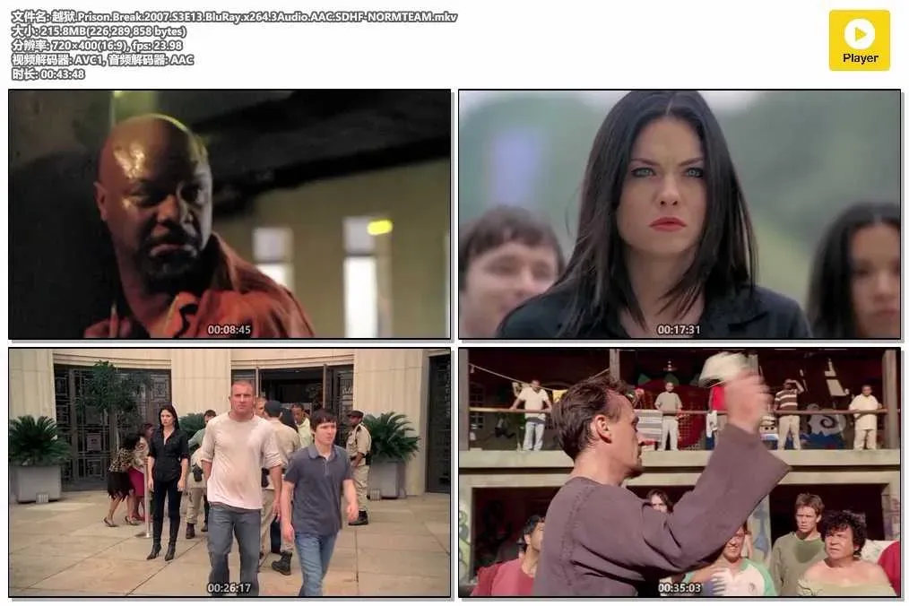 【越獄 第三季 / Prison Break S3】(2007) 粵國英三語 標清 索納監獄篇 4