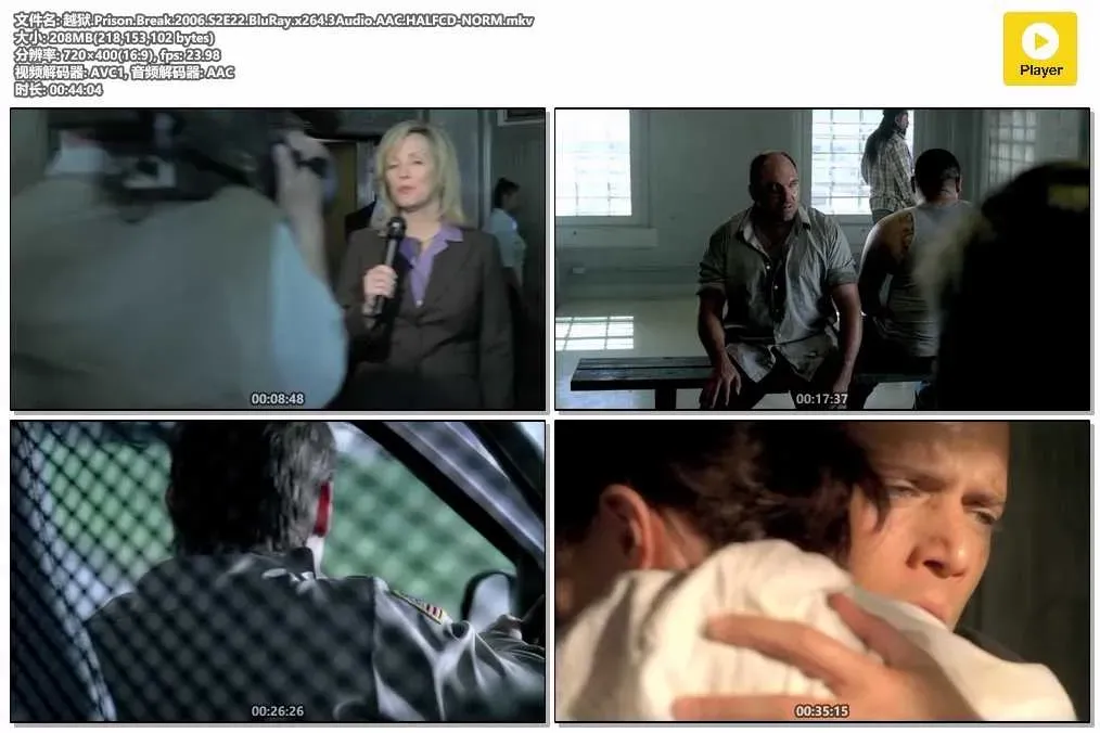 【越獄 第二季 / Prison Break S2】(2006) 粵國英三語 標清 FBI馬宏追捕篇 4