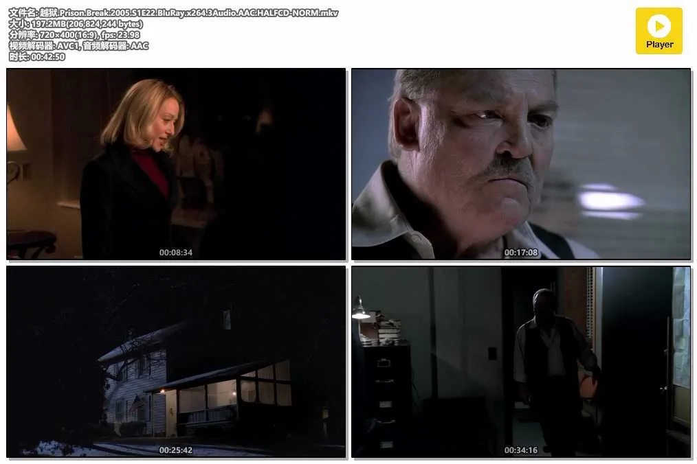 【越獄 第一季 / Prison Break S1】(2005) 粵國英三語 標清 傳奇紋身越獄 4