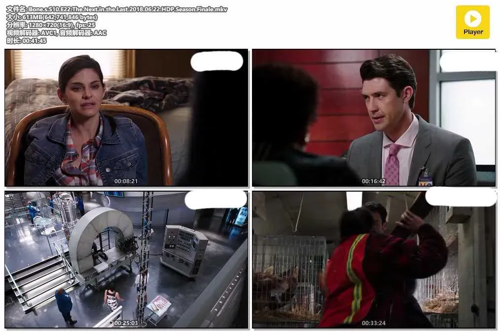 【欲骨查 第十季 / Bones S10】(2014) 粵英雙語 720P 斯威茨之死 奥布里登場 4