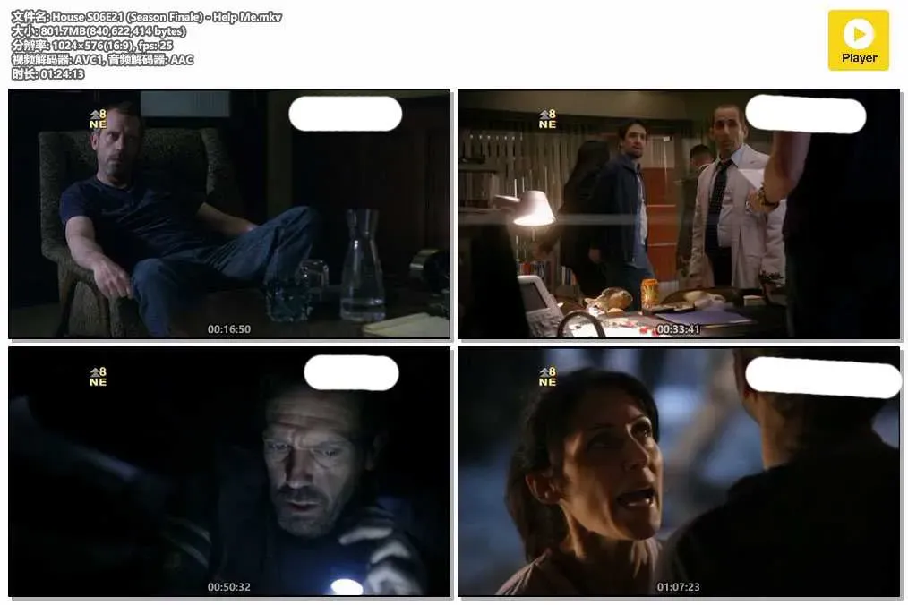 【醫神 第六季 / House M.D. S6】(2009) 粵英雙語 576P 精神病院篇 蔡斯黑化 4