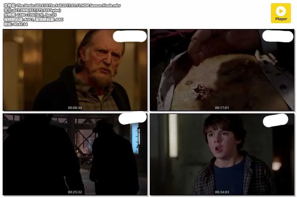 【血族 第三季 / The Strain S3】(2016) 粵英雙語 720P 紐約淪陷 核爆前夕 4