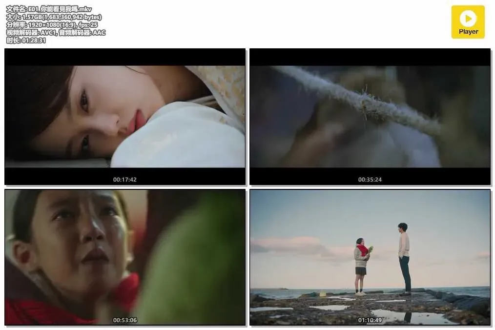 【孤單又燦爛的神-鬼怪 / Goblin】(2016) 粵語配音 1080P 孔劉 李棟旭 奇幻愛情神劇 4