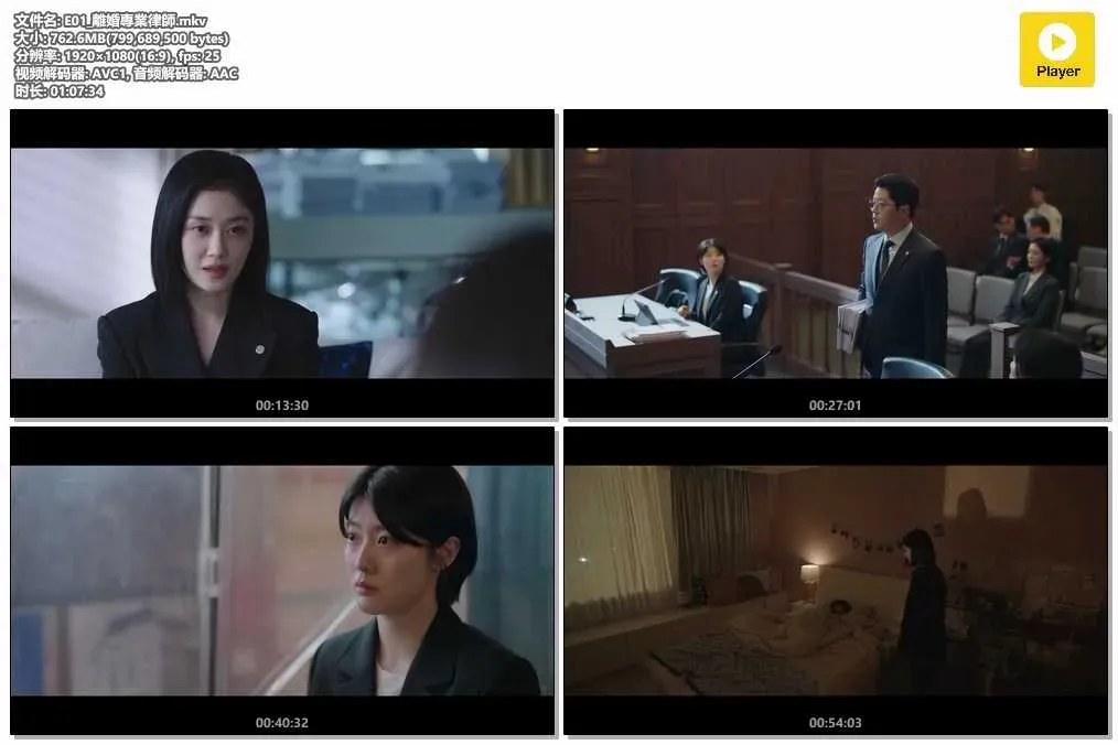 【好搭檔 / Good Partner】(2024) 粵語配音 1080P 張娜拉 南志鉉 律政女性爽劇 4