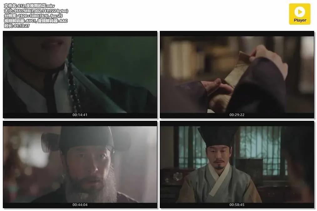 【夜晚開的花 / Knight Flower】(2024) 粵語配音 1080P 李荷妮 爆笑古裝動作爽劇 4