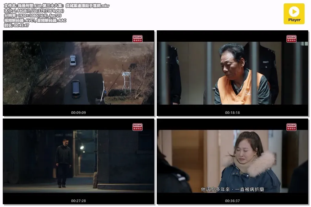 【我是刑警 / I Am a Criminal Police】(2024) 粵國雙語 1080P 于和偉 丁勇岱 年度硬核刑偵劇下載 4