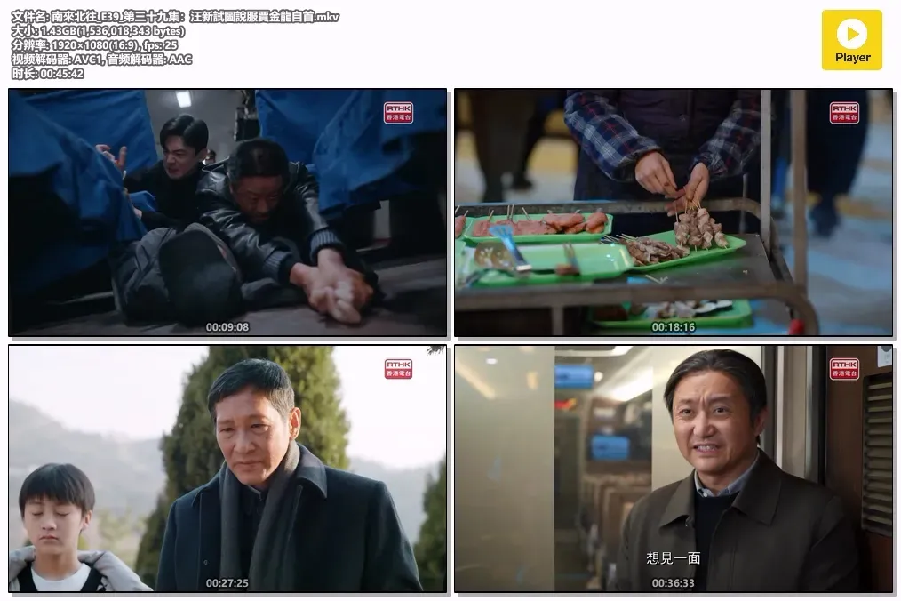 【南来北往 / Always on the Moving】(2024) 粤国双语 1080P 白敬亭 丁勇岱 郑晓龙执导年代铁路公安剧下载 4