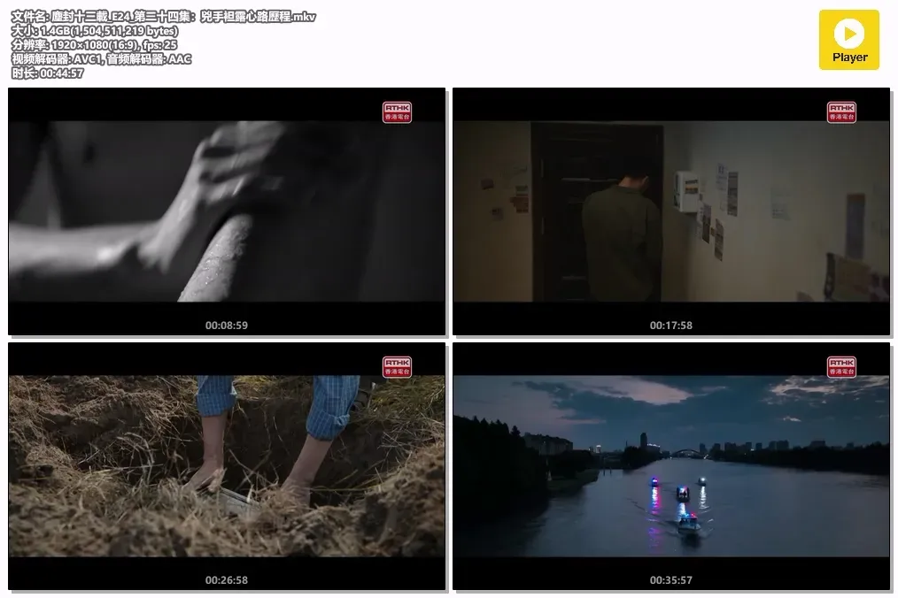 【尘封十三载 / Thirteen Years of Dust】(2023) 粤国双语 1080P 陈建斌 陈晓 硬核悬疑刑侦剧全集下载 4