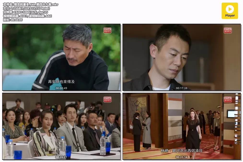 【简言的夏冬 / 商业调查师】(2022) 粤语配音 1080P 朱亚文 万茜 硬核职场商战剧高清下载 4