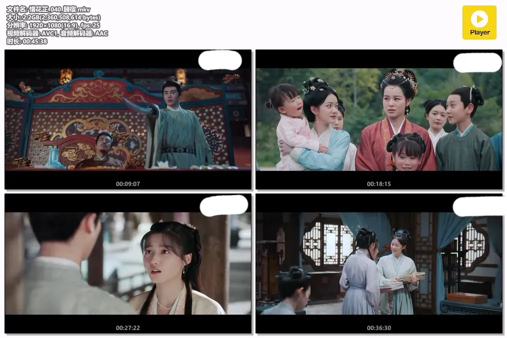 【惜花芷 / Blossoms in Adversity】(2024) 1080P 国语原声 张婧仪 胡一天 高分古装励志成长剧下载 4