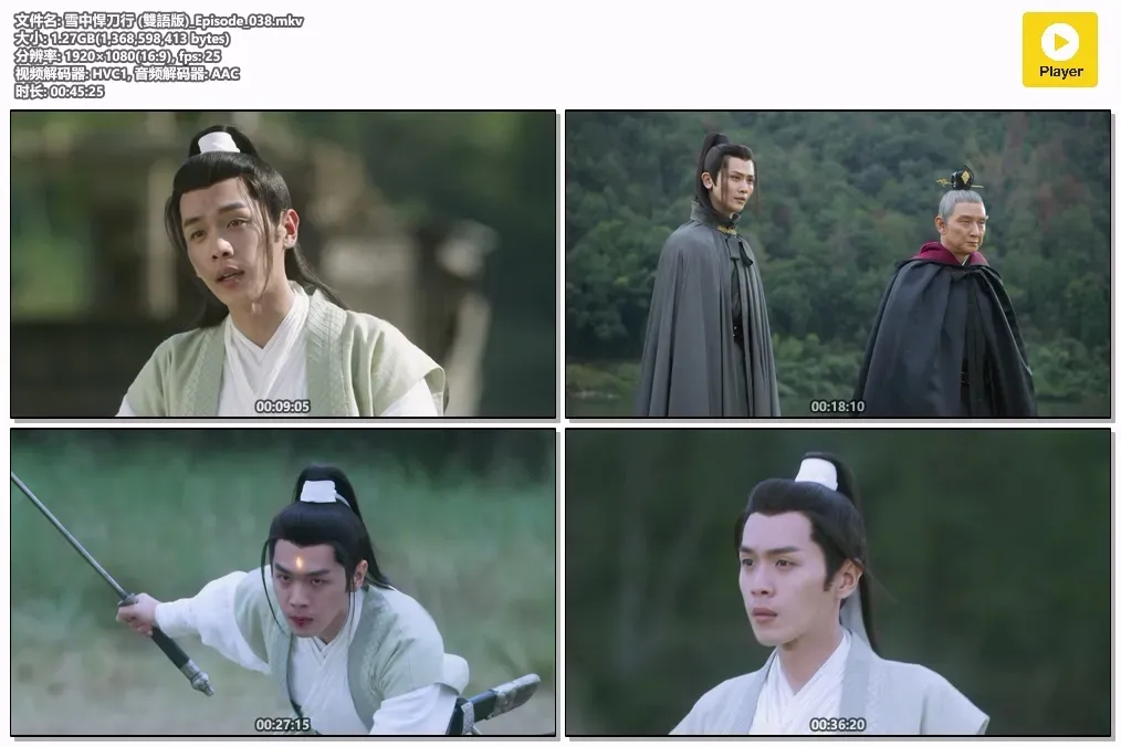 【雪中悍刀行 / Sword Snow Stride】(2021) 粤国双语 1080P 张若昀 胡军 顶级玄幻武侠剧全集下载 4