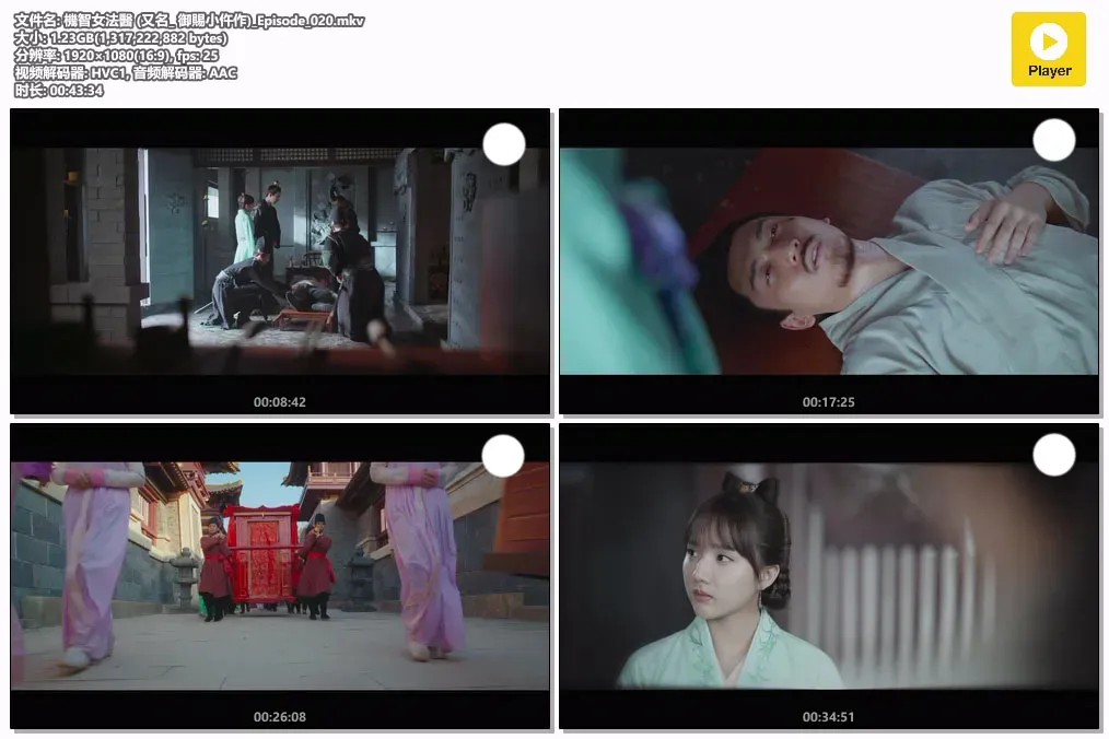 【机智女法医 / 御赐小仵作】(2021) 粤国双语 1080P 苏晓彤 王子奇 硬核探案黑马剧全集下载 4